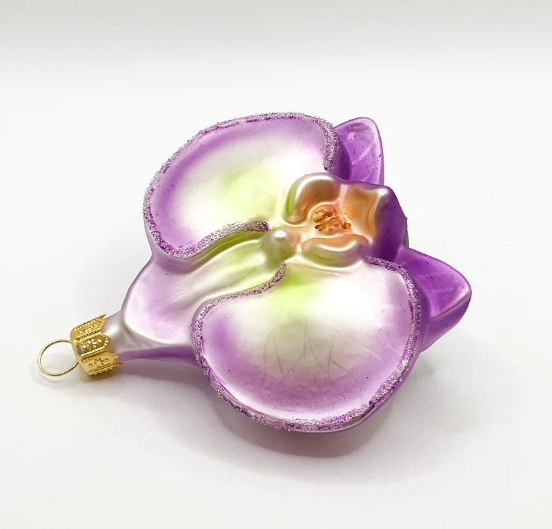 Phalaenopsis dunkles lila
