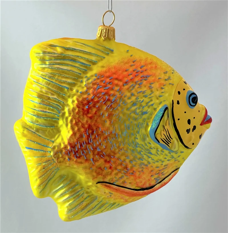 Grosser gelb oranger Riff-Fisch