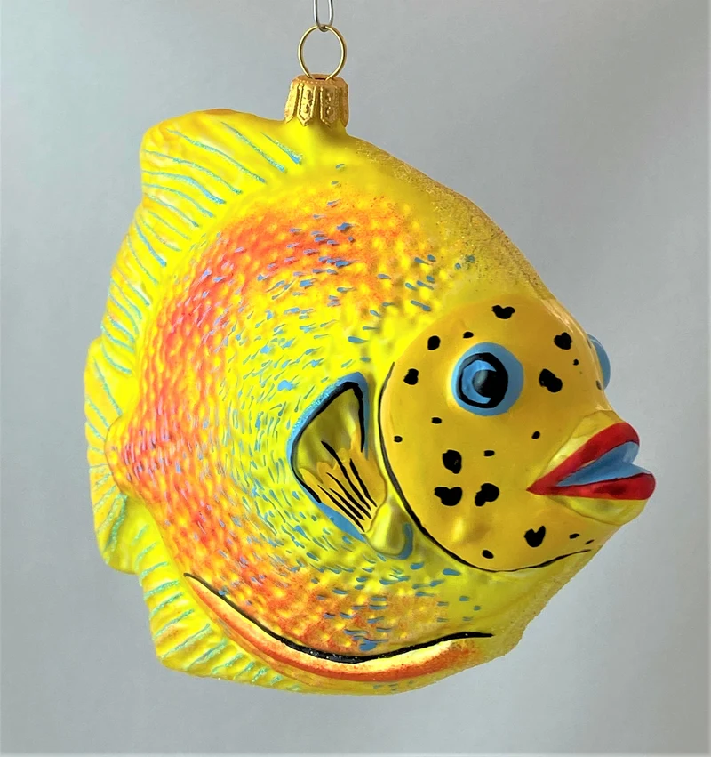 Grosser gelb oranger Riff-Fisch