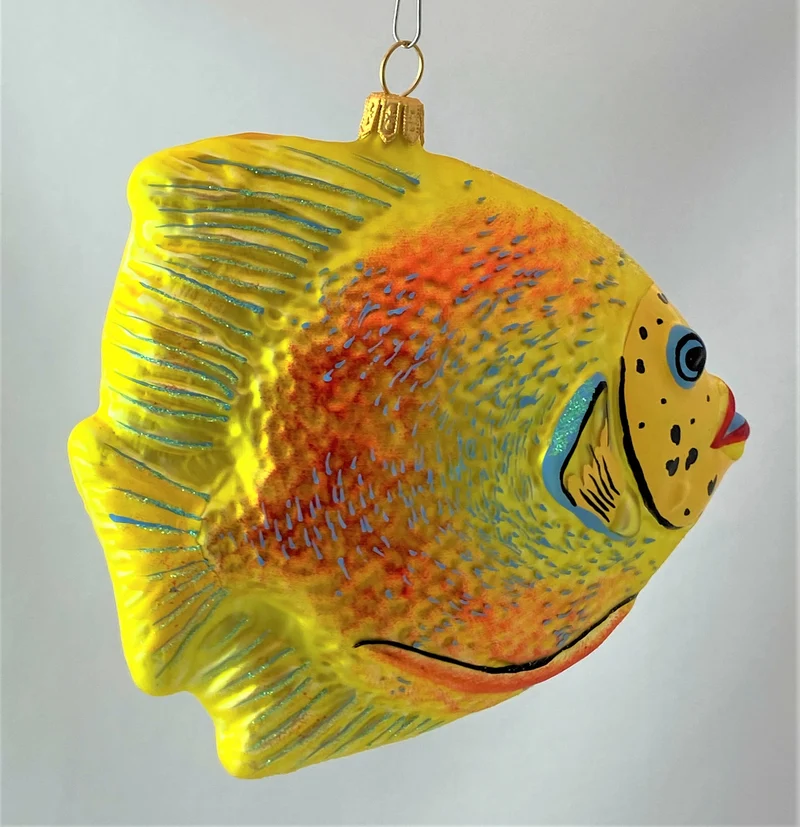 Grosser gelb oranger Riff-Fisch
