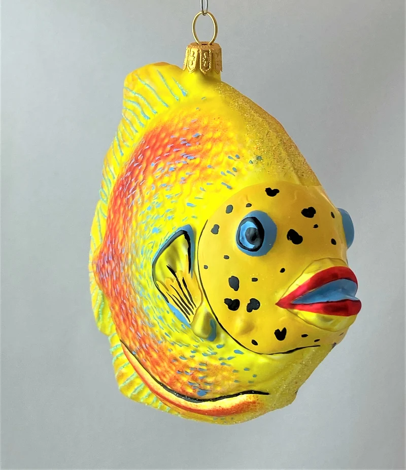 Grosser gelb oranger Riff-Fisch