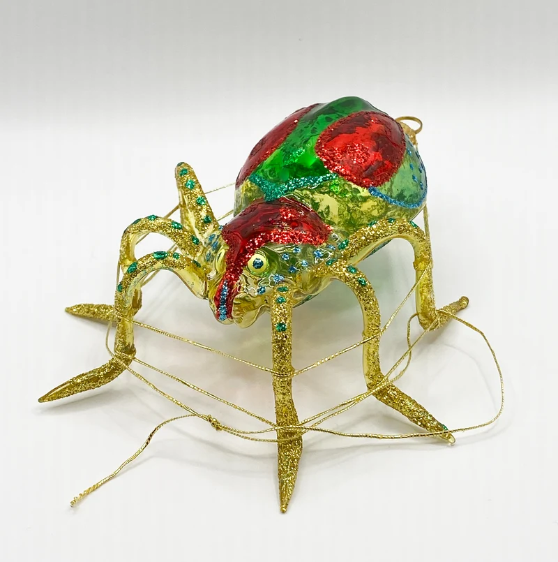 Spinne mit Netz, transparent
