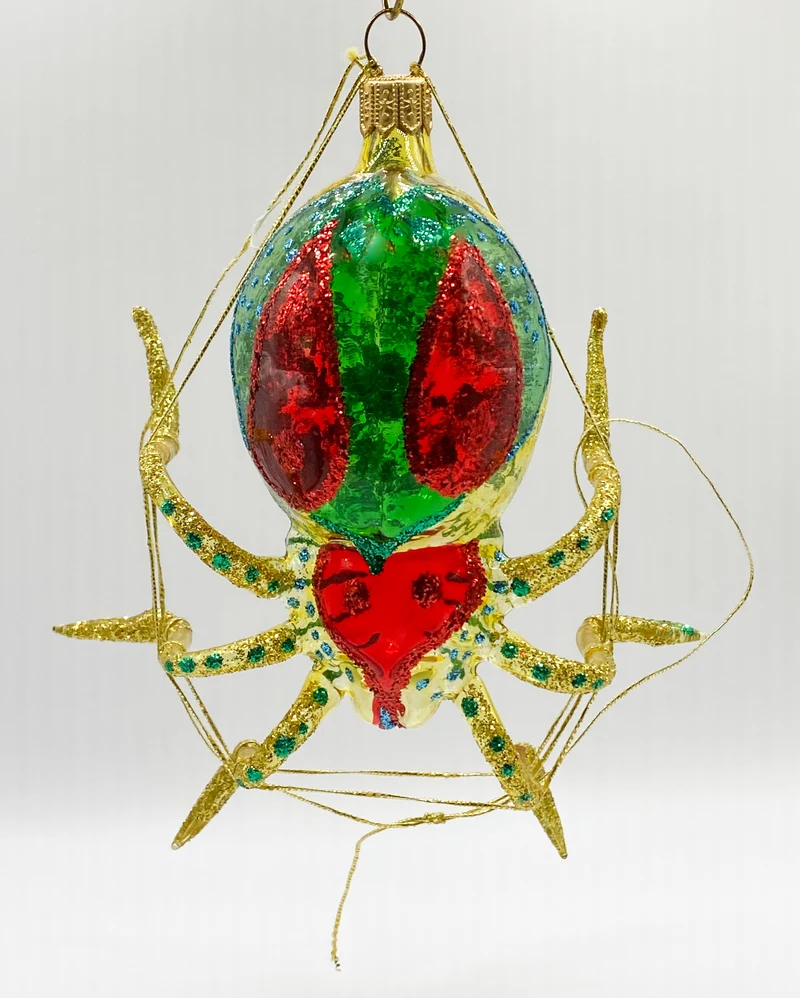 Spinne mit Netz, transparent