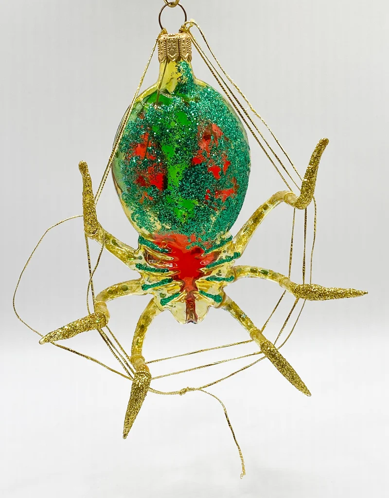 Spinne mit Netz, transparent