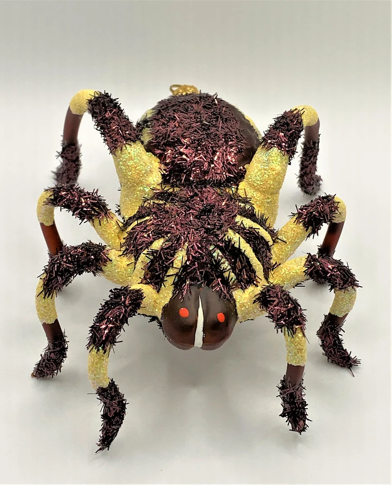 Vogelspinne, braun, beige