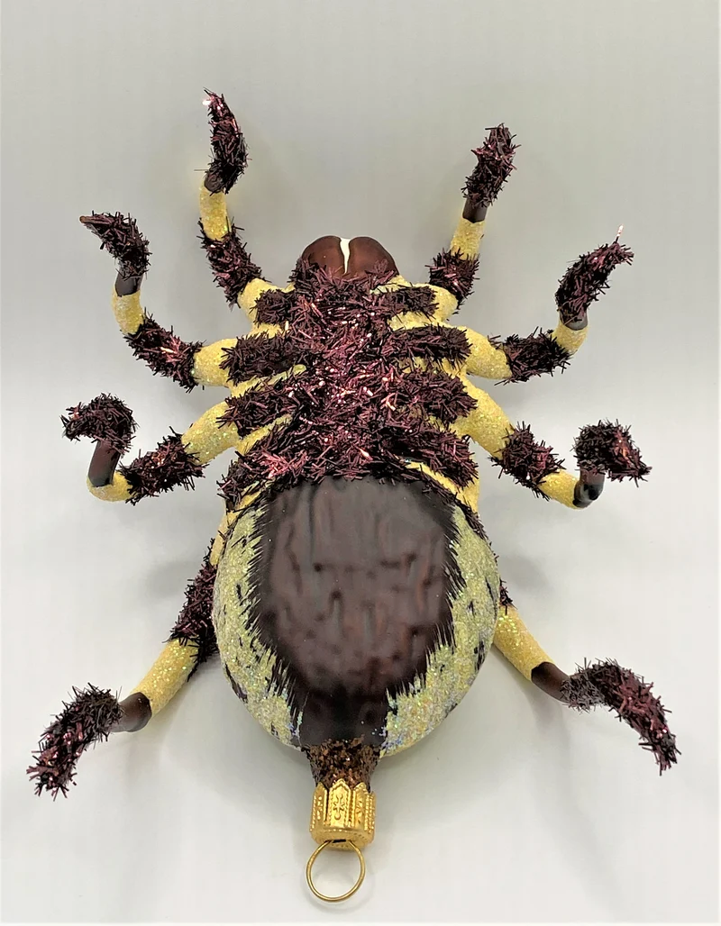 Vogelspinne, braun, beige