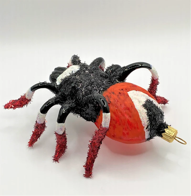 Rot schwarze Vogelspinne mit weissen Streifen