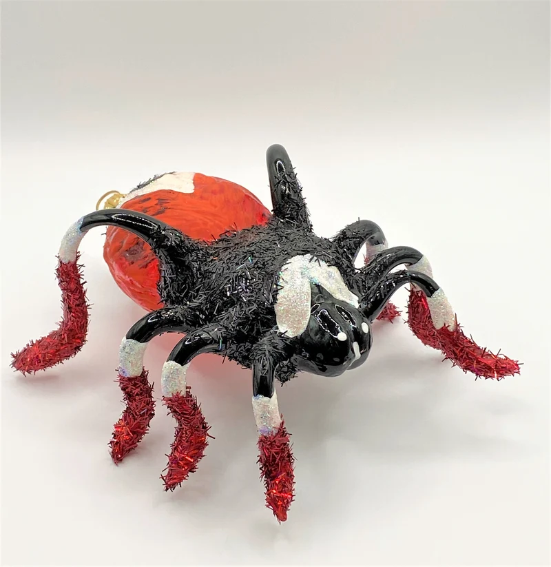 Rot schwarze Vogelspinne mit weissen Streifen