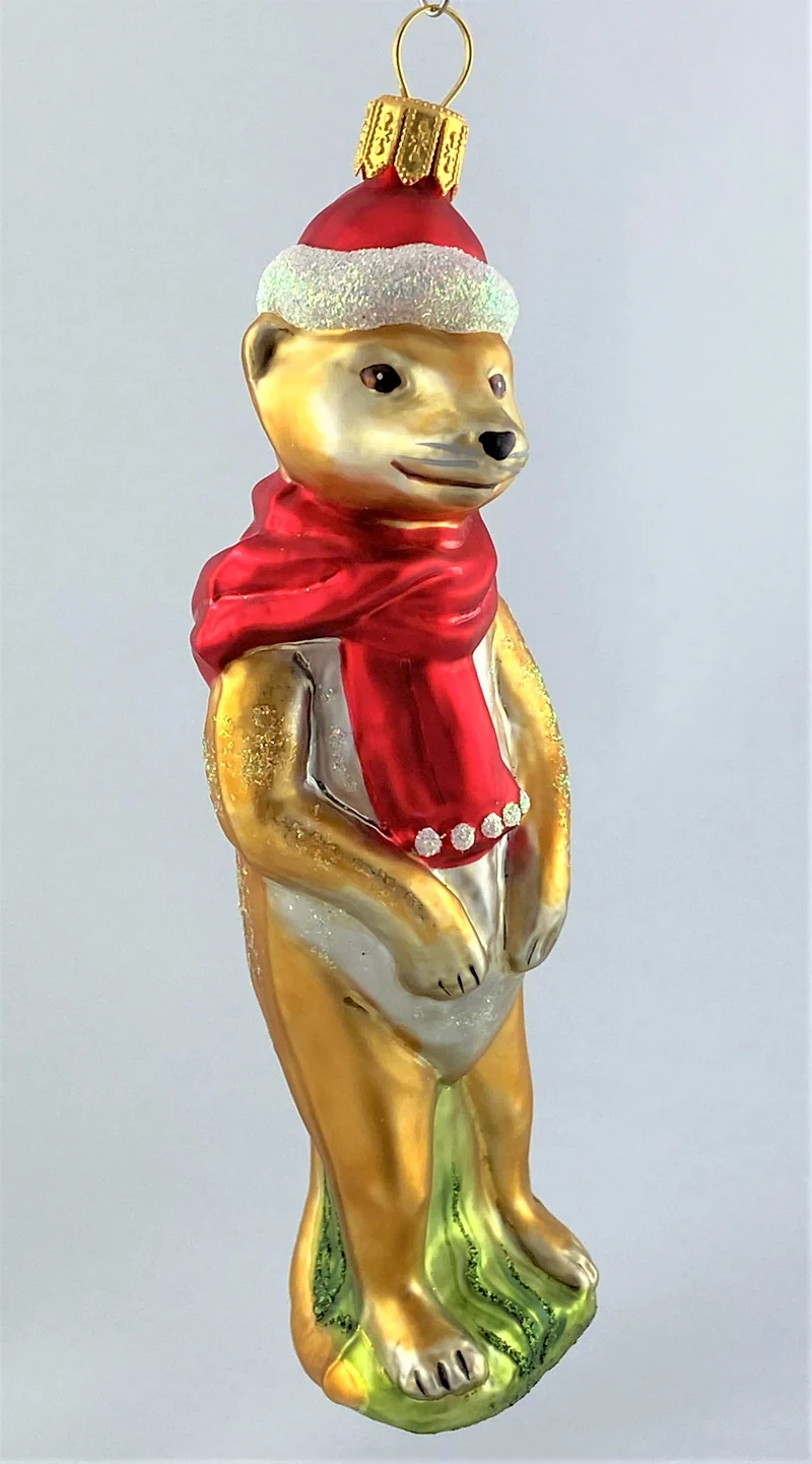 Erdmännchen freut sich auf Weihnachten