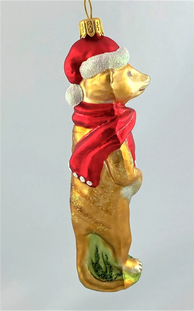 Erdmännchen freut sich auf Weihnachten