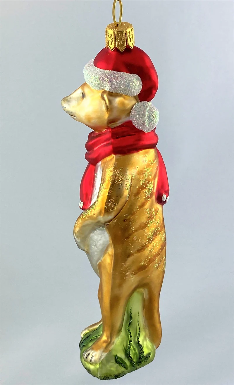 Erdmännchen freut sich auf Weihnachten