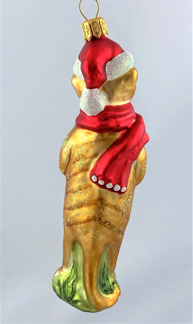 Erdmännchen freut sich auf Weihnachten