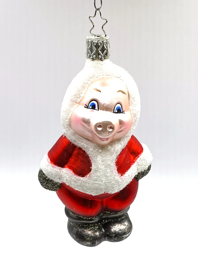 Schwein im Santakostüm