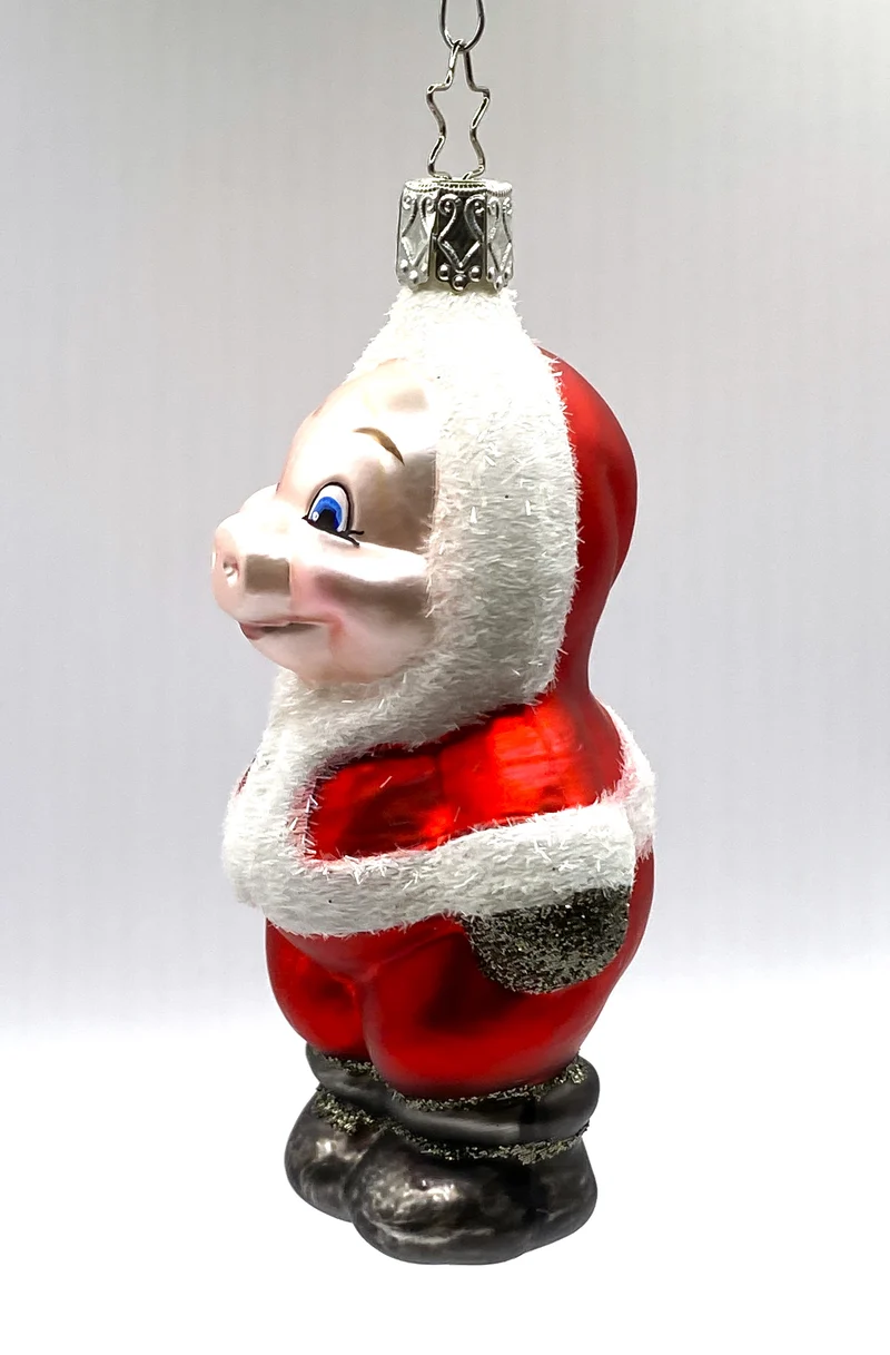 Schwein im Santakostüm