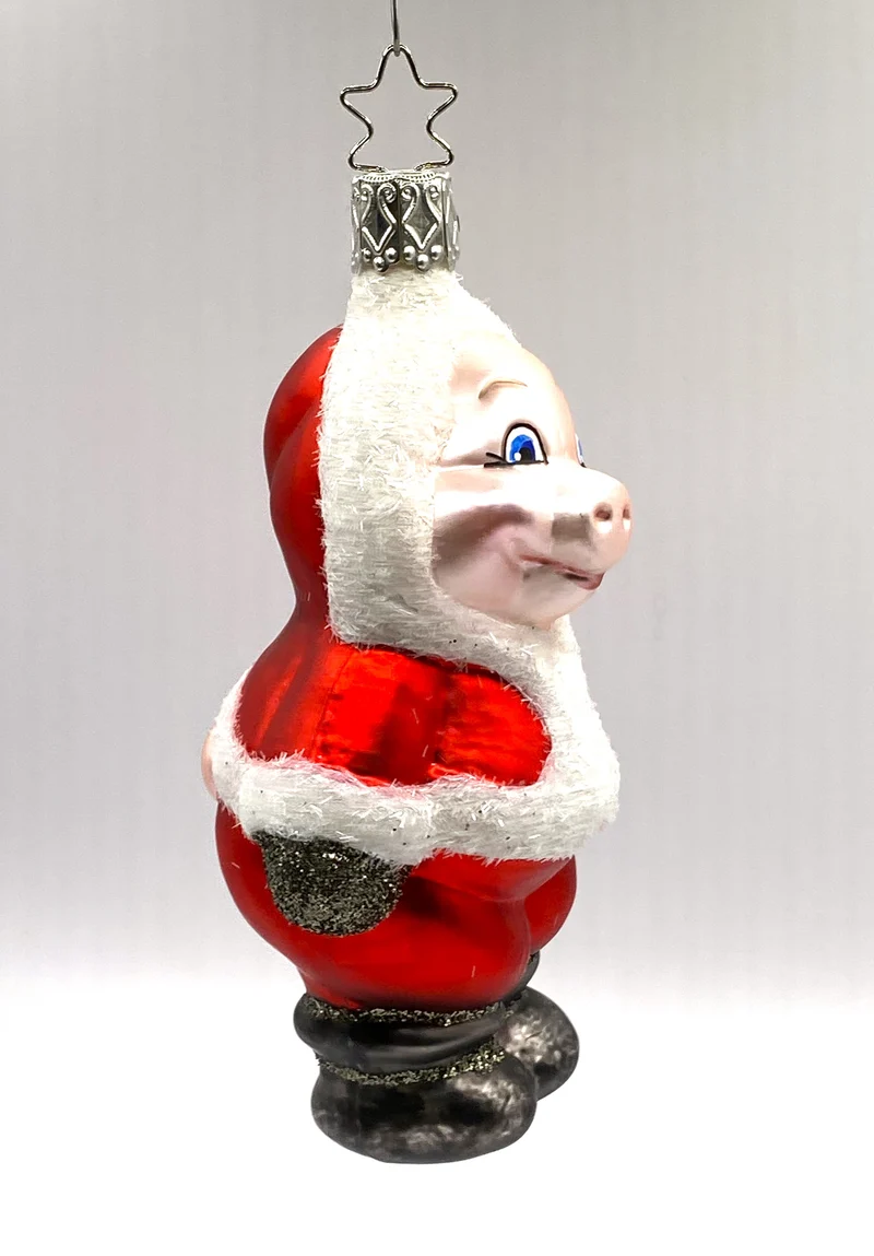 Schwein im Santakostüm