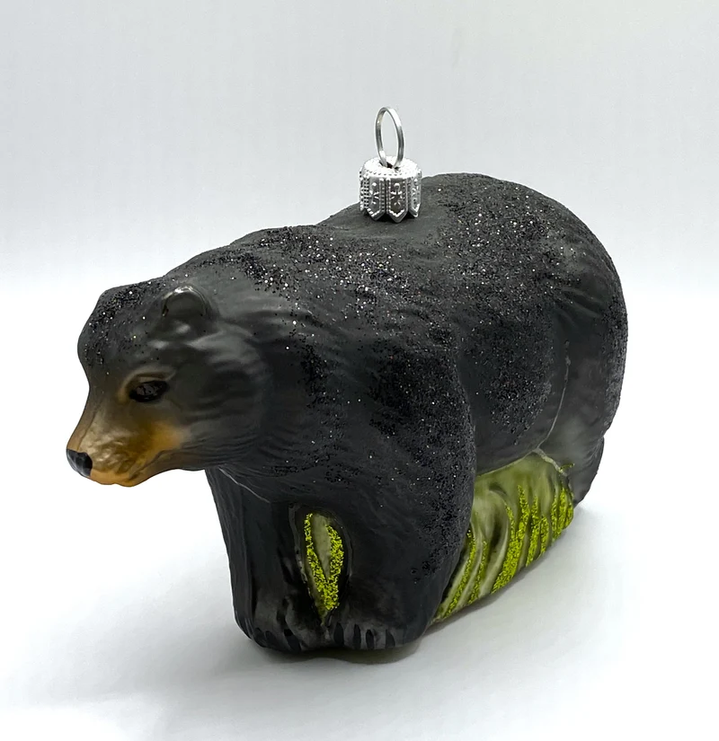 Schwarzbär