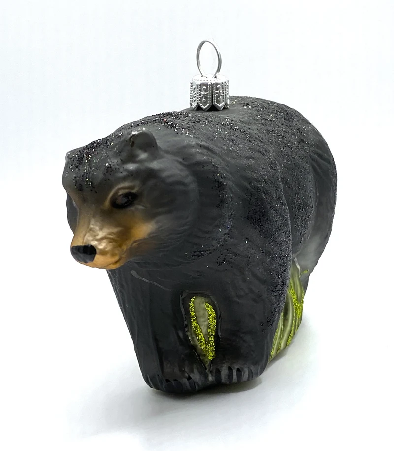 Schwarzbär