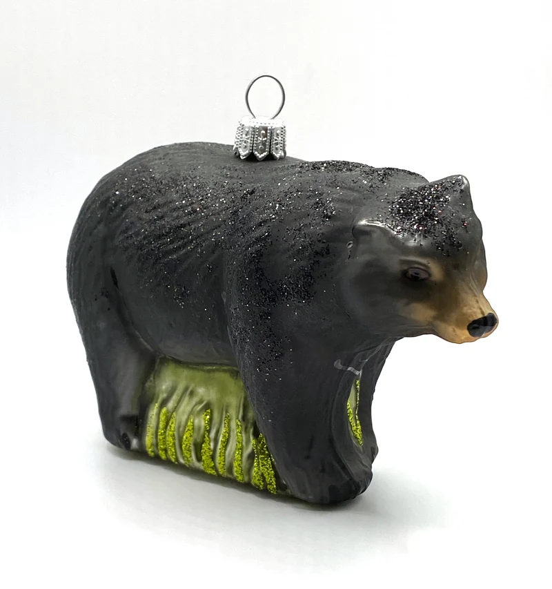 Schwarzbär