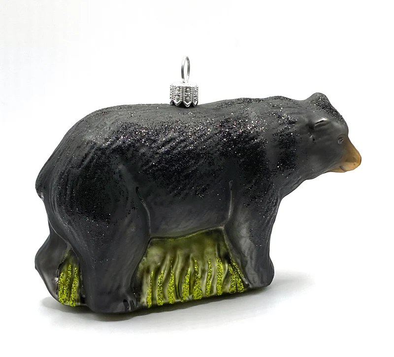 Schwarzbär