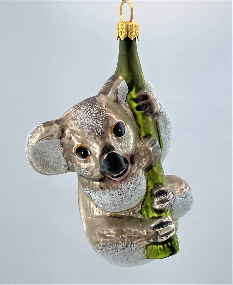 Mausgrauer Koala-Bär klettert am Ast