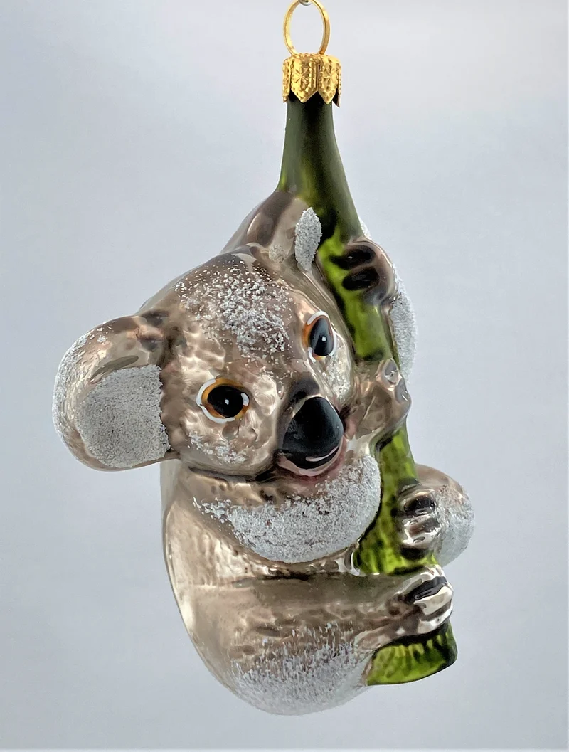 Mausgrauer Koala-Bär klettert am Ast