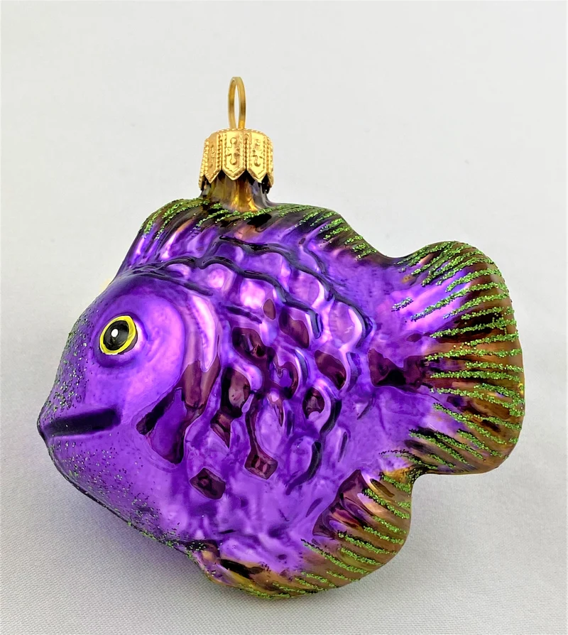 Niedlicher violetter Korallenfisch