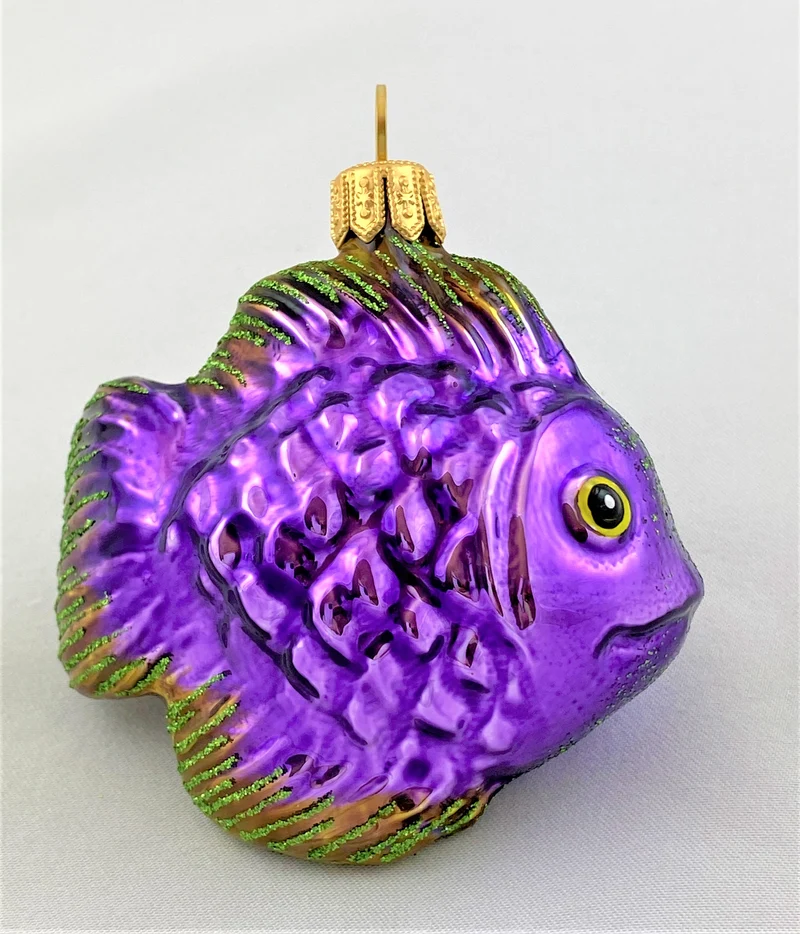 Niedlicher violetter Korallenfisch