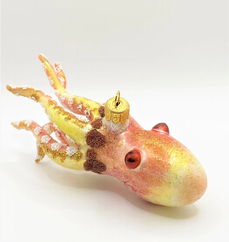 Schwimmender Tintenfisch