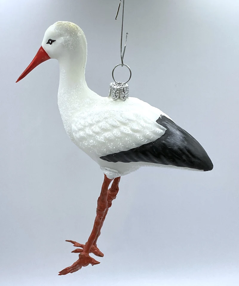 Storch