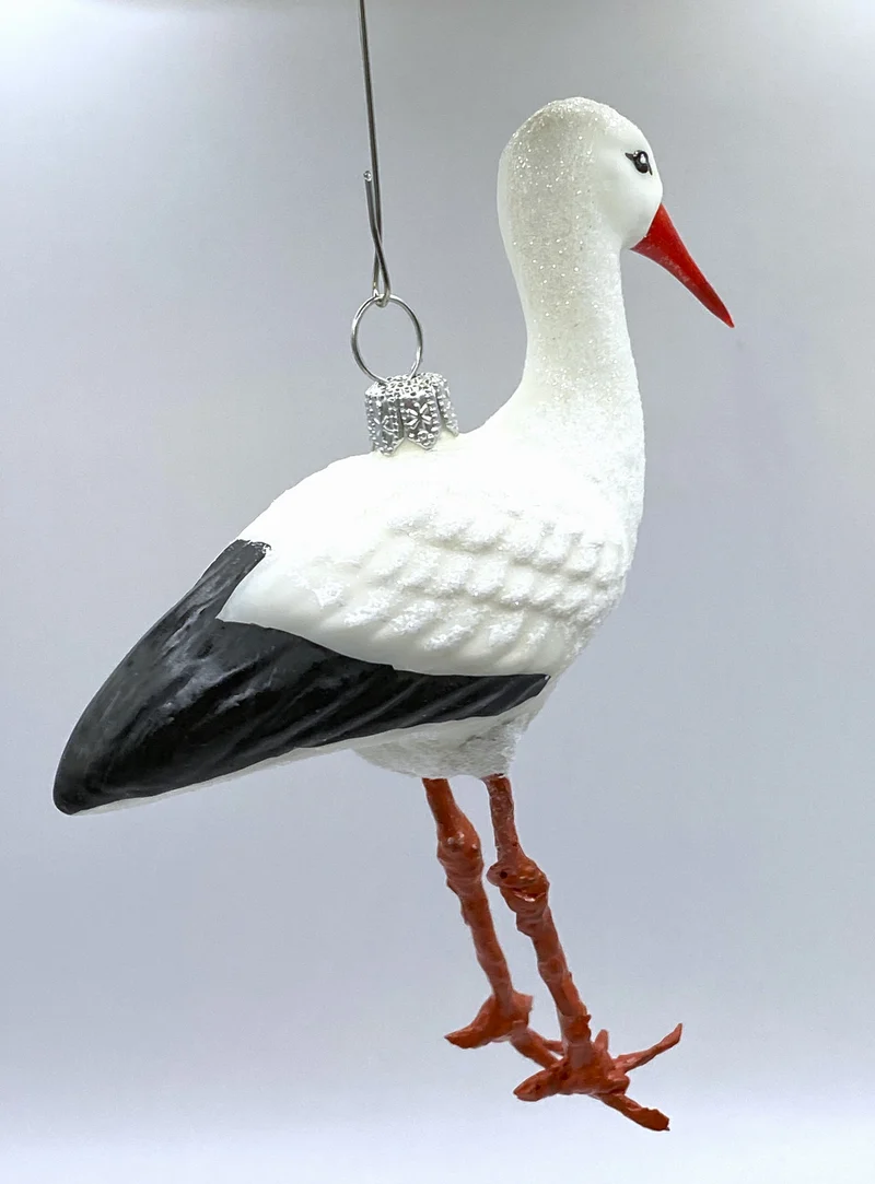 Storch