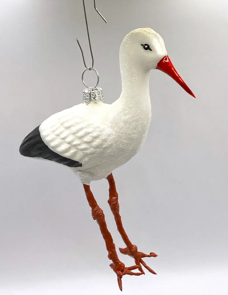 Storch