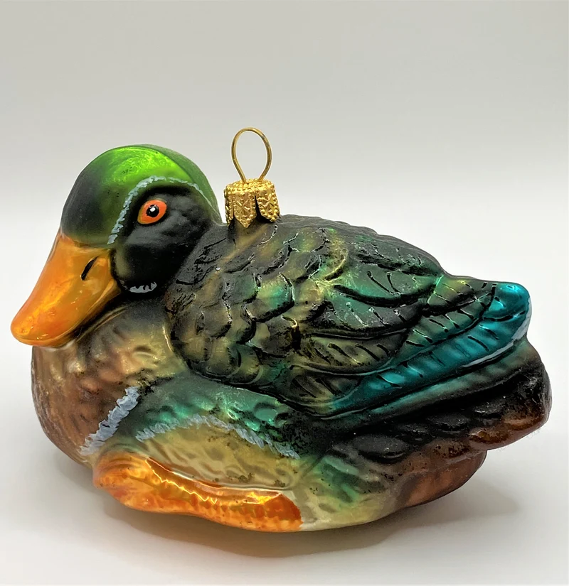 Wildente Erpel