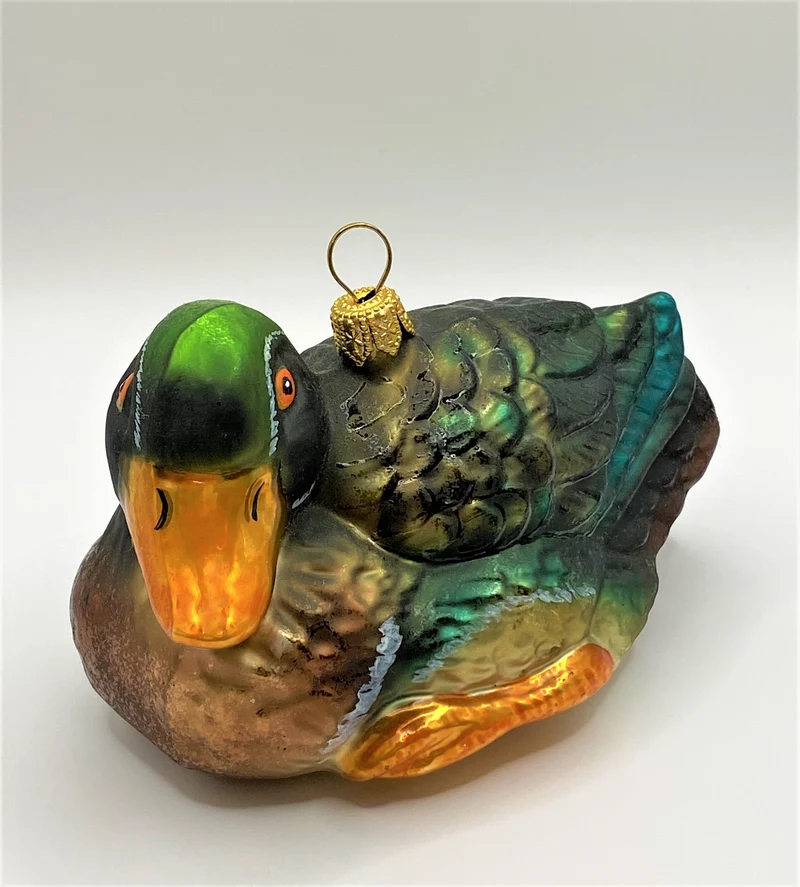 Wildente Erpel