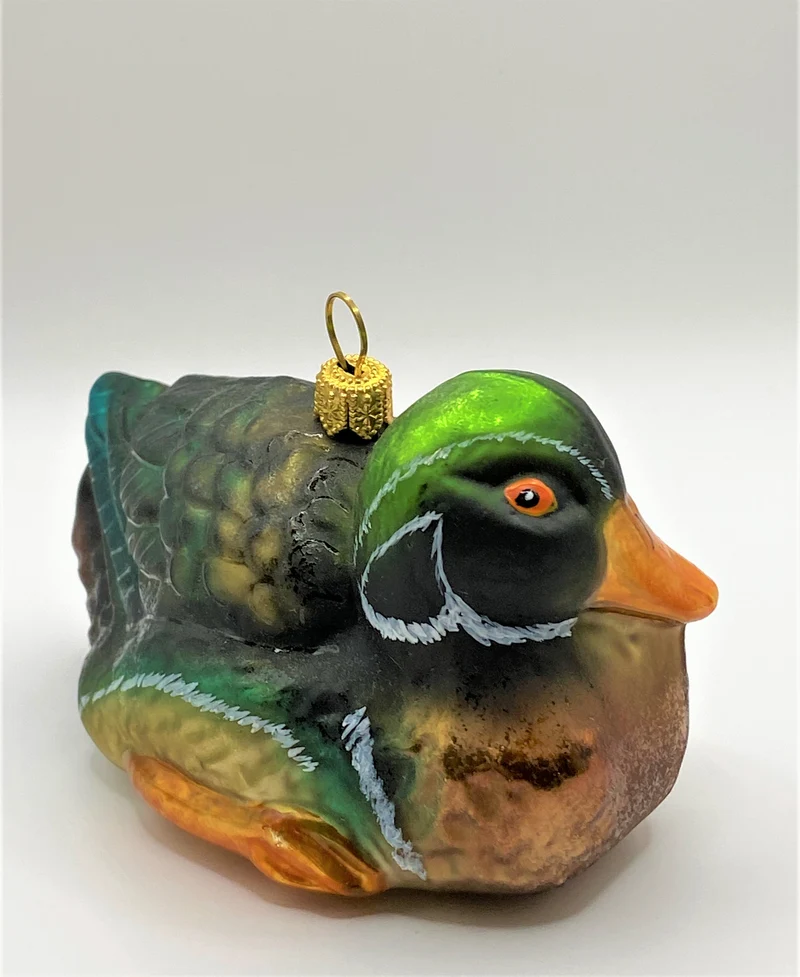 Wildente Erpel