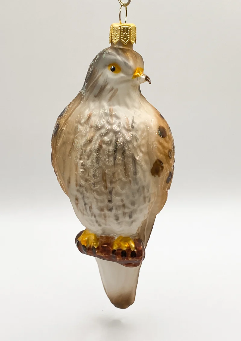 Turmfalke