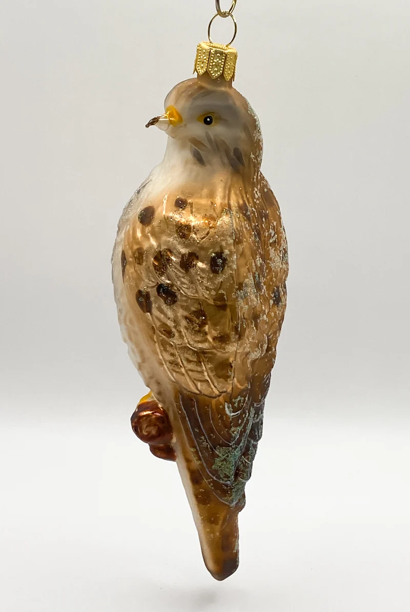 Turmfalke