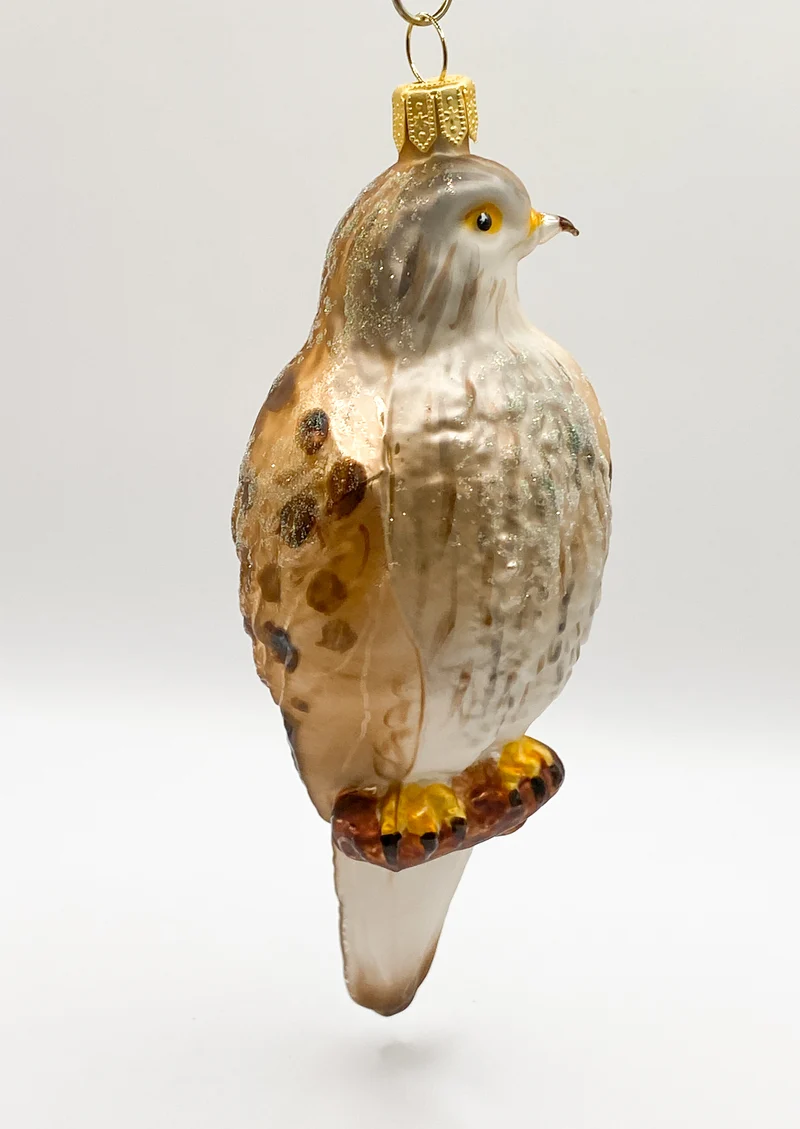 Turmfalke