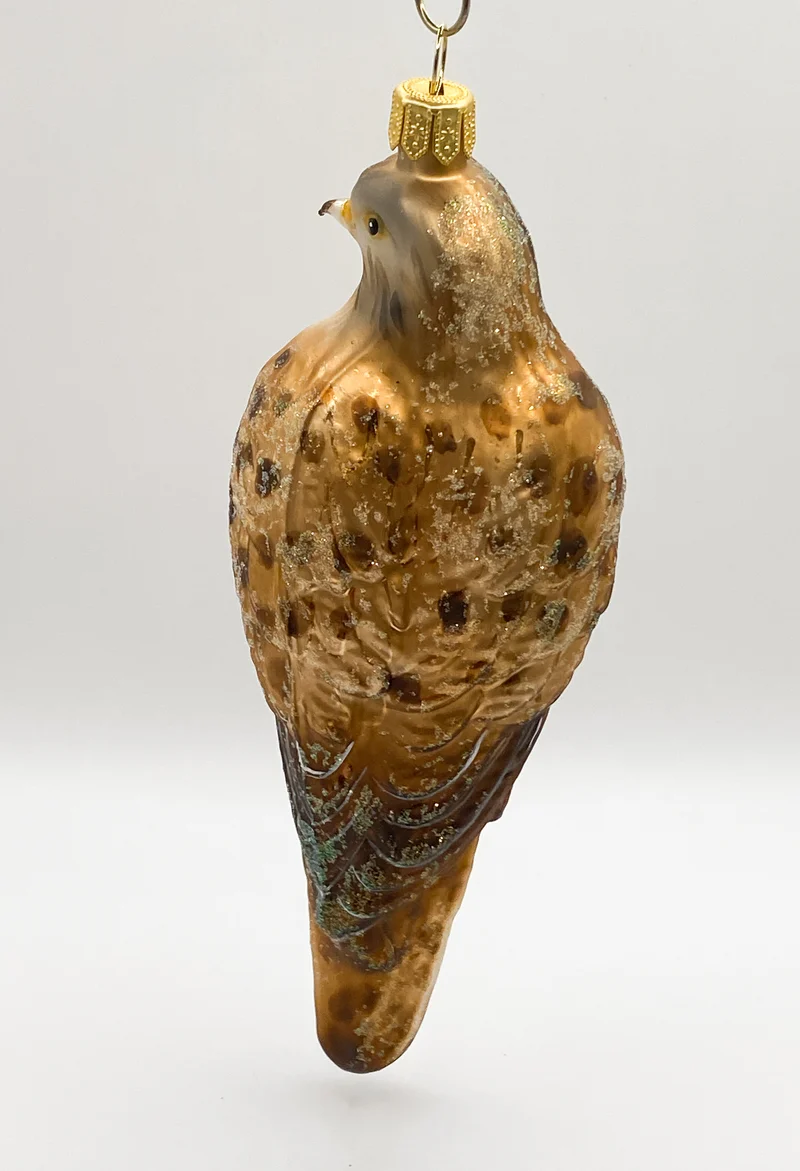 Turmfalke