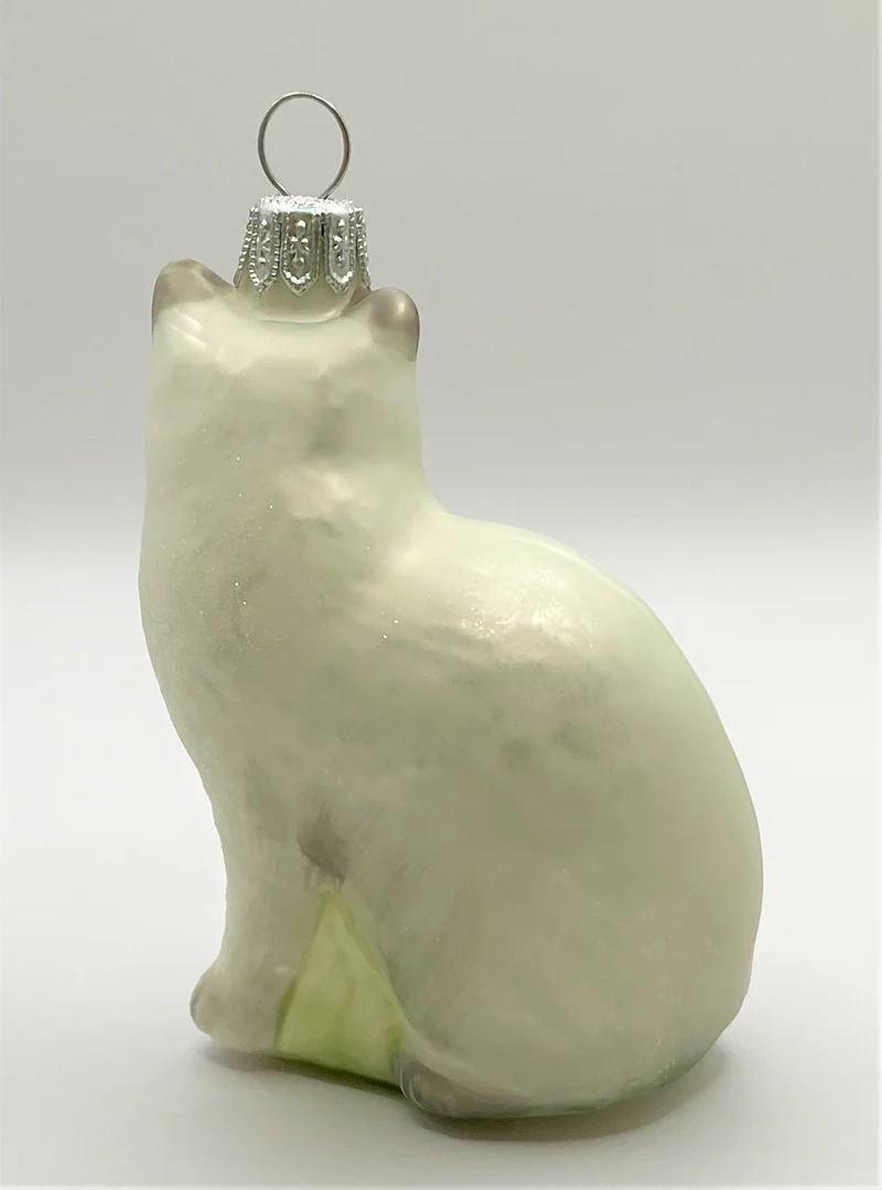 Katze weiss/grau mit blauen Augen