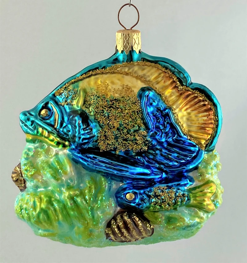 Fische im Riff