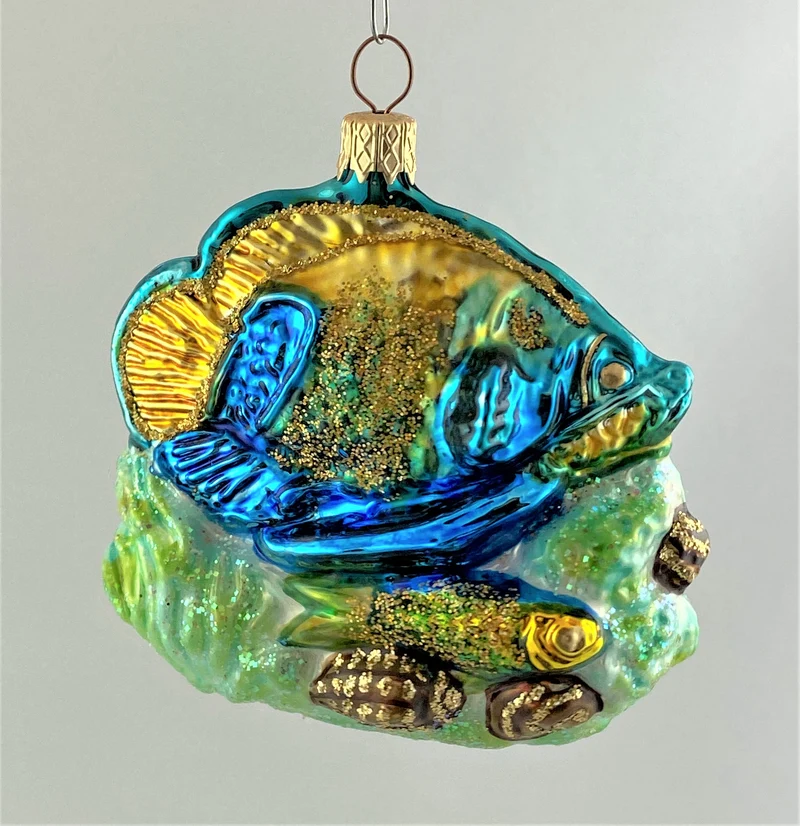 Fische im Riff