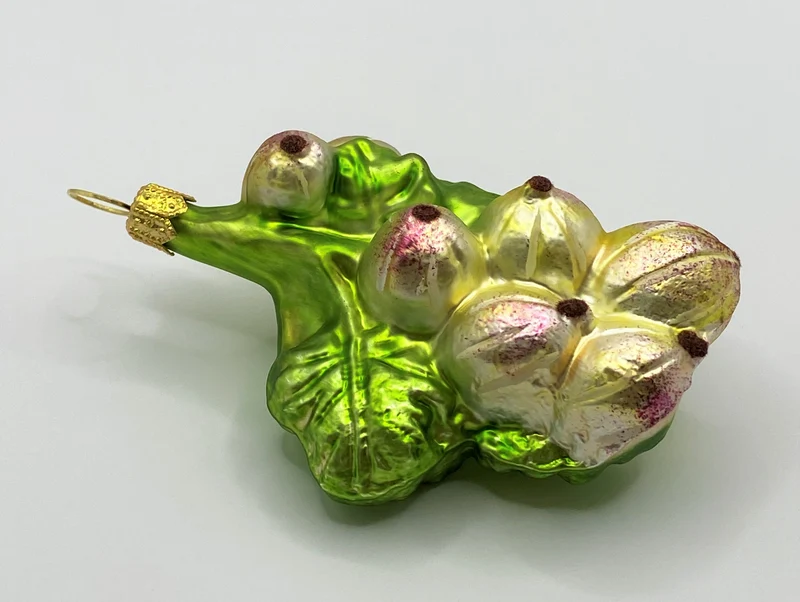 Stachelbeeren am Zweig