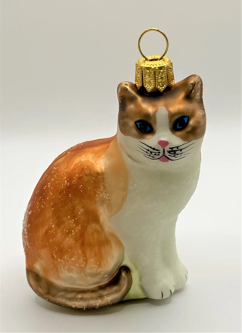 Dreifarben Katze