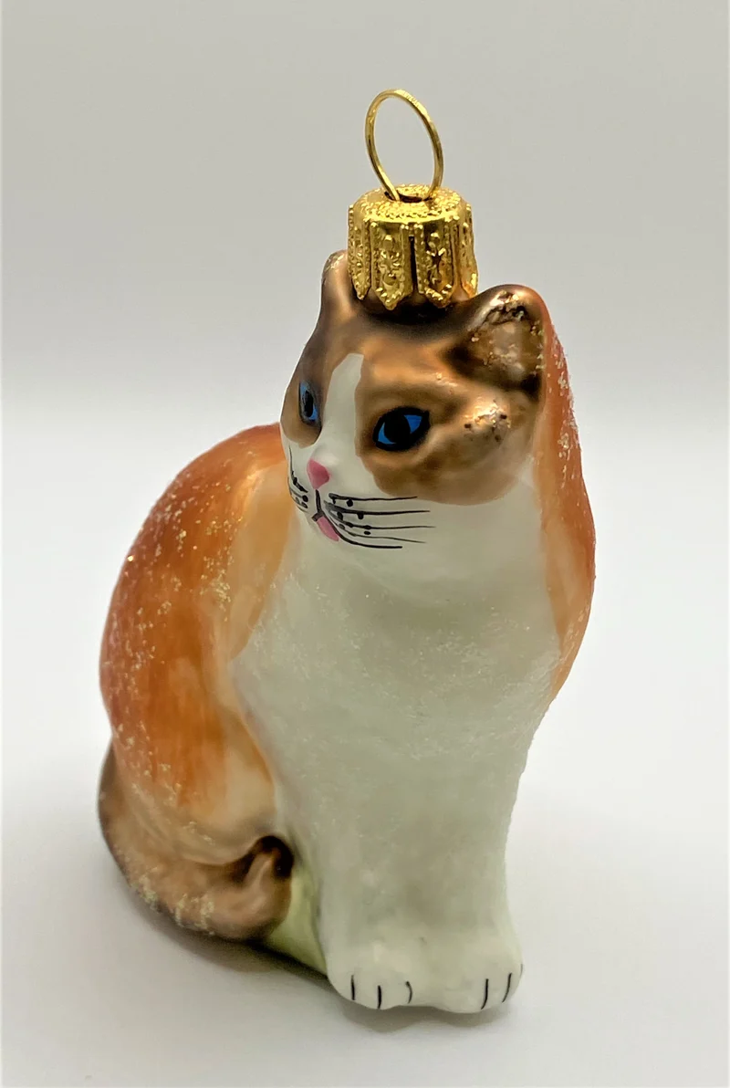 Dreifarben Katze