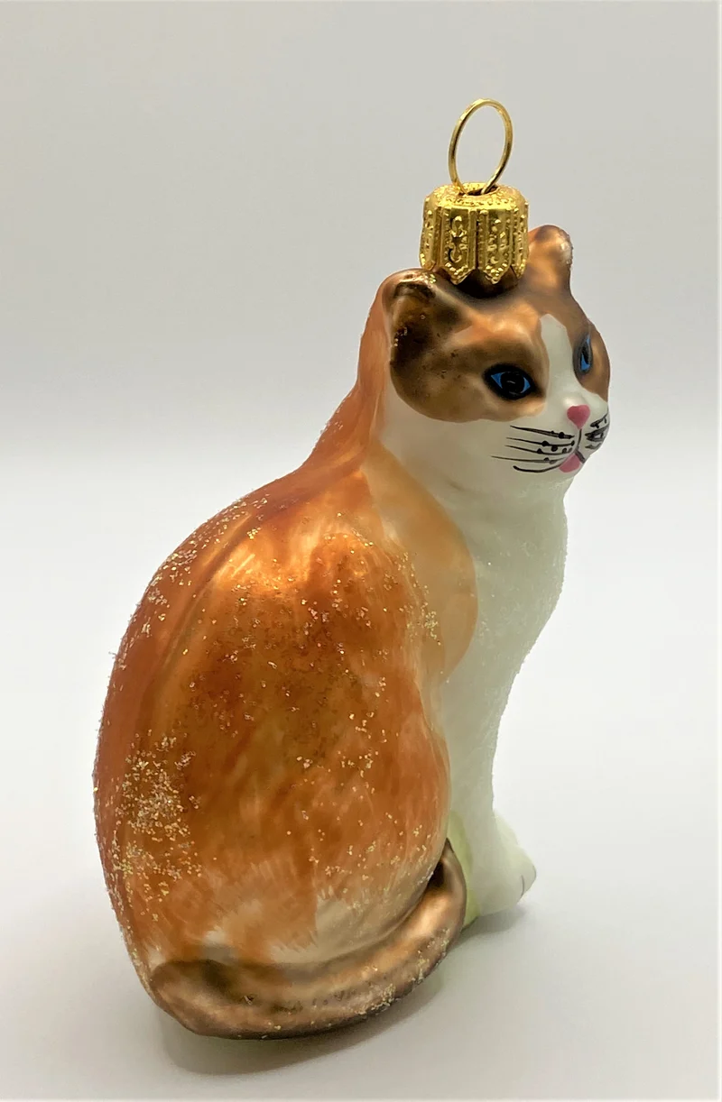 Dreifarben Katze