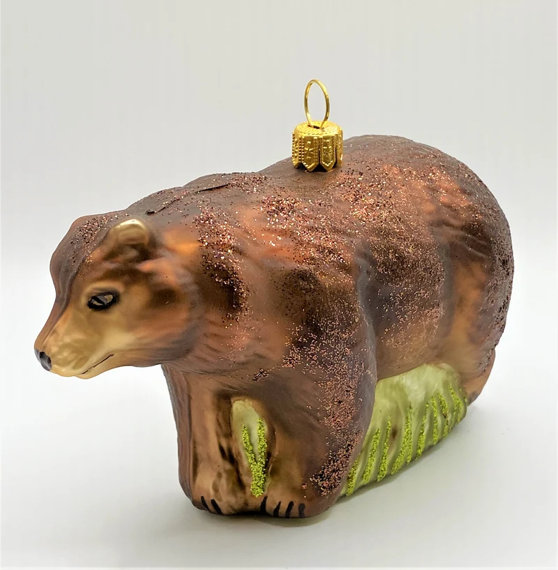 Braunbär
