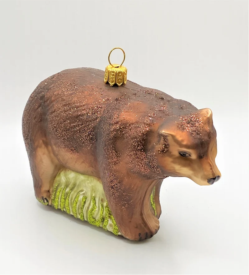 Braunbär