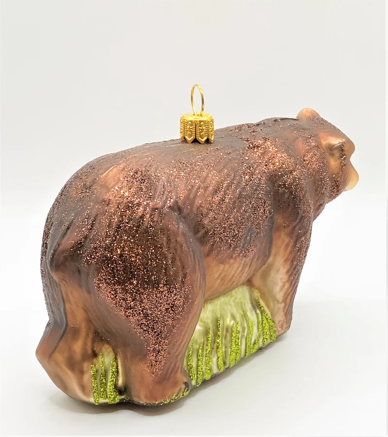 Braunbär