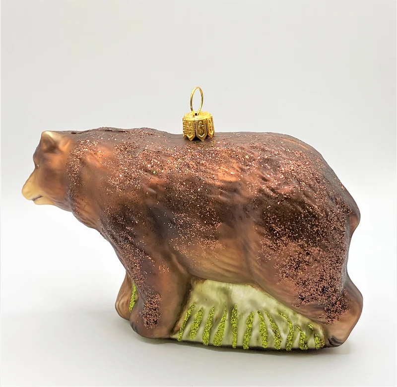 Braunbär