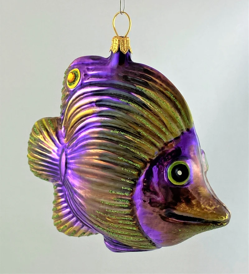 Violetter Riff-Fisch